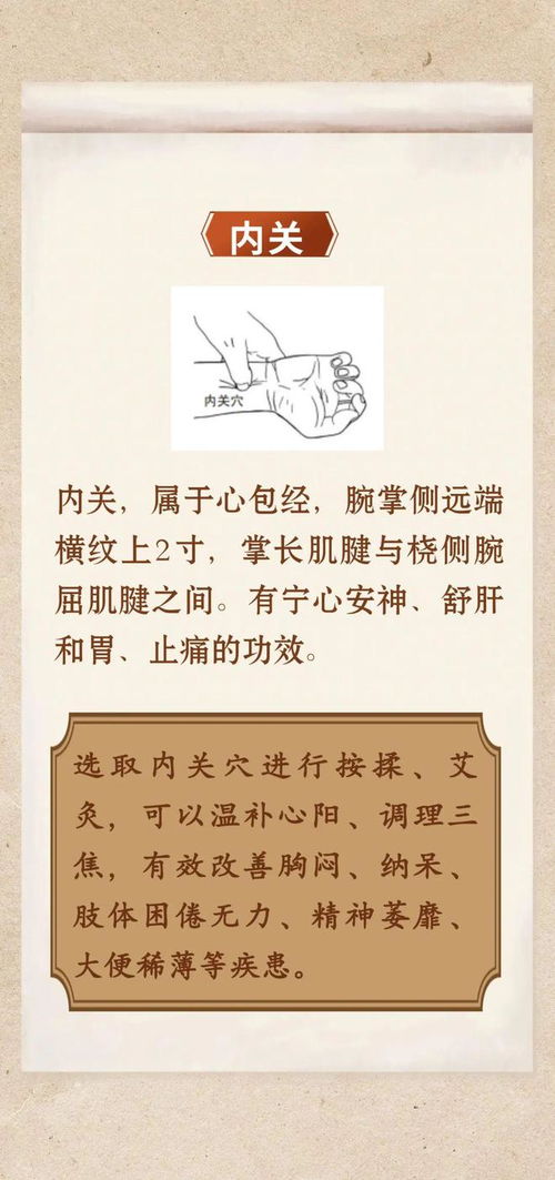 夏季養(yǎng)陽正當(dāng)時(shí) 中醫(yī)解析暑熱時(shí)節(jié)養(yǎng)陽之道