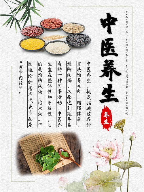 古風中醫(yī)養(yǎng)生海報設計