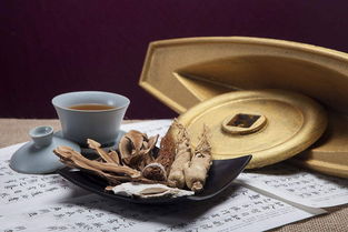 泥灸加工OEM廠家如何在中醫(yī)養(yǎng)生領域發(fā)揮引領作用